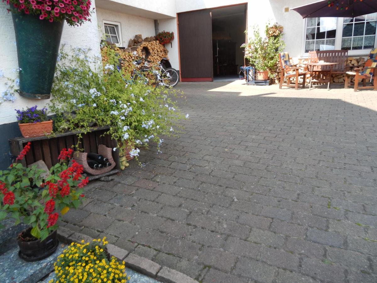 Ferienweinhaus Roemer-Knodt Креф Экстерьер фото